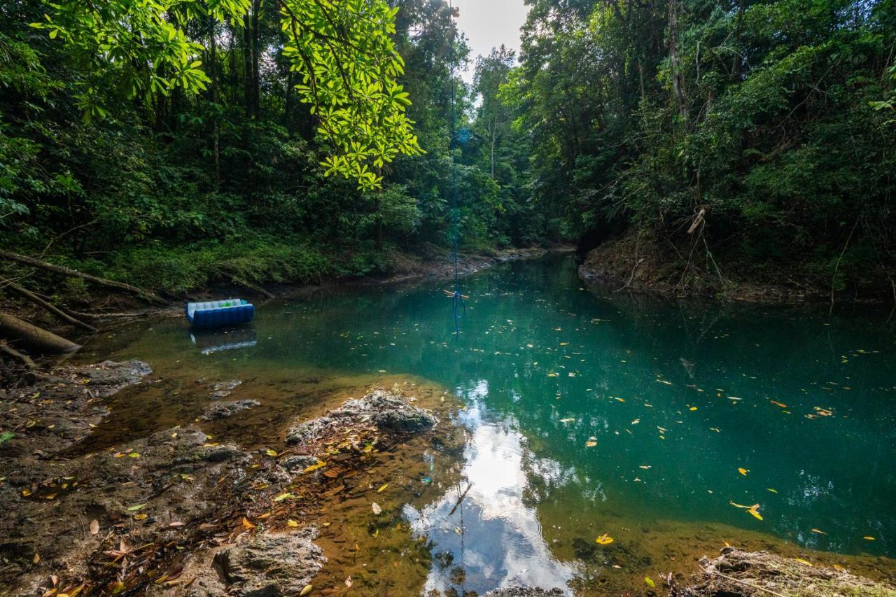 Drake Bay River View المظهر الخارجي الصورة