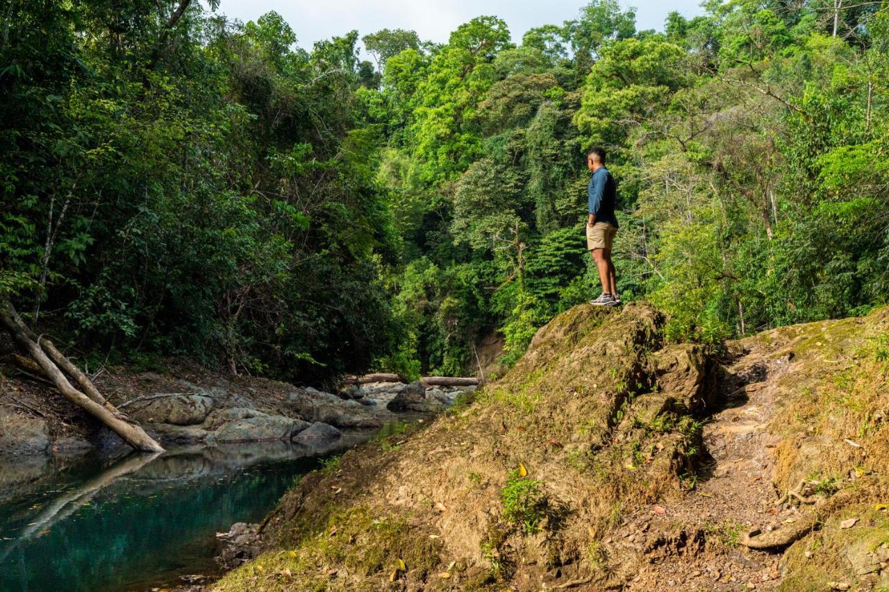 Drake Bay River View المظهر الخارجي الصورة