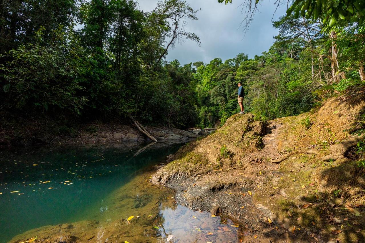 Drake Bay River View المظهر الخارجي الصورة
