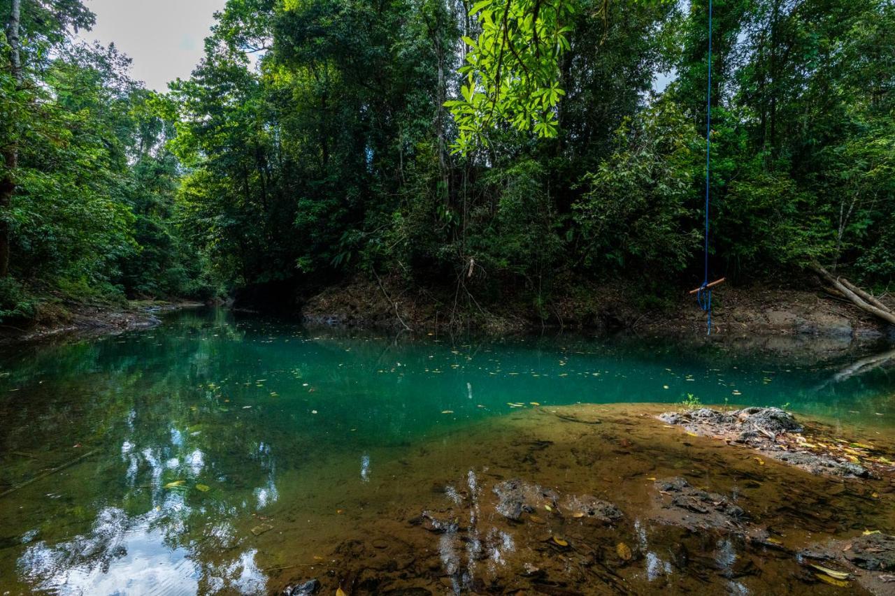 Drake Bay River View المظهر الخارجي الصورة