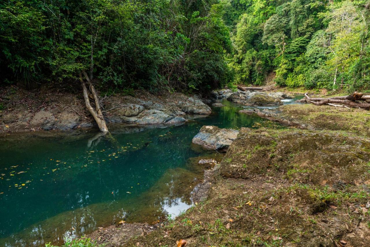 Drake Bay River View المظهر الخارجي الصورة