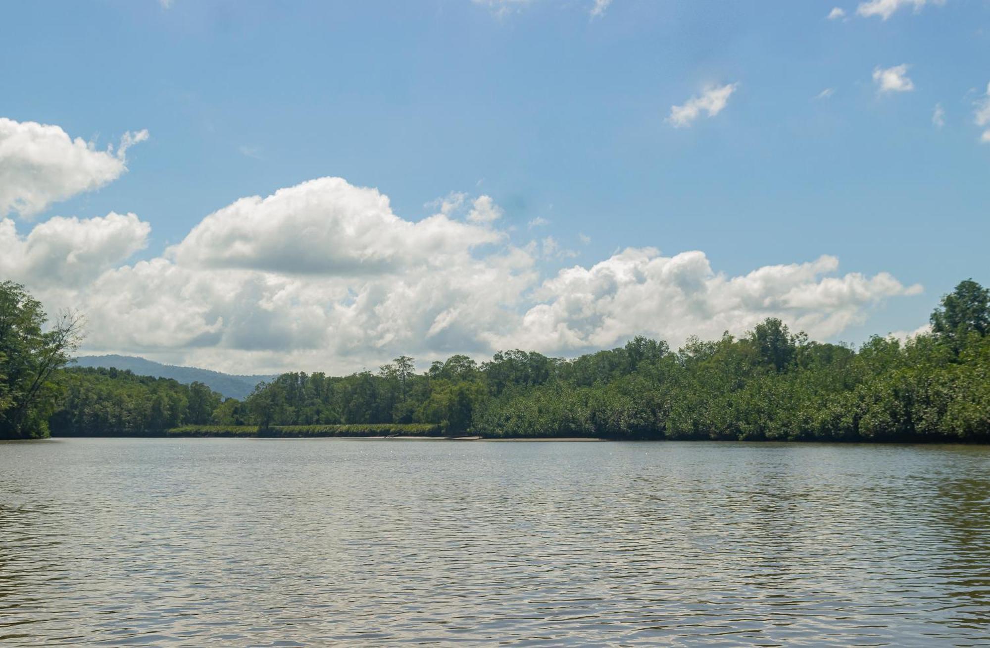 Drake Bay River View المظهر الخارجي الصورة