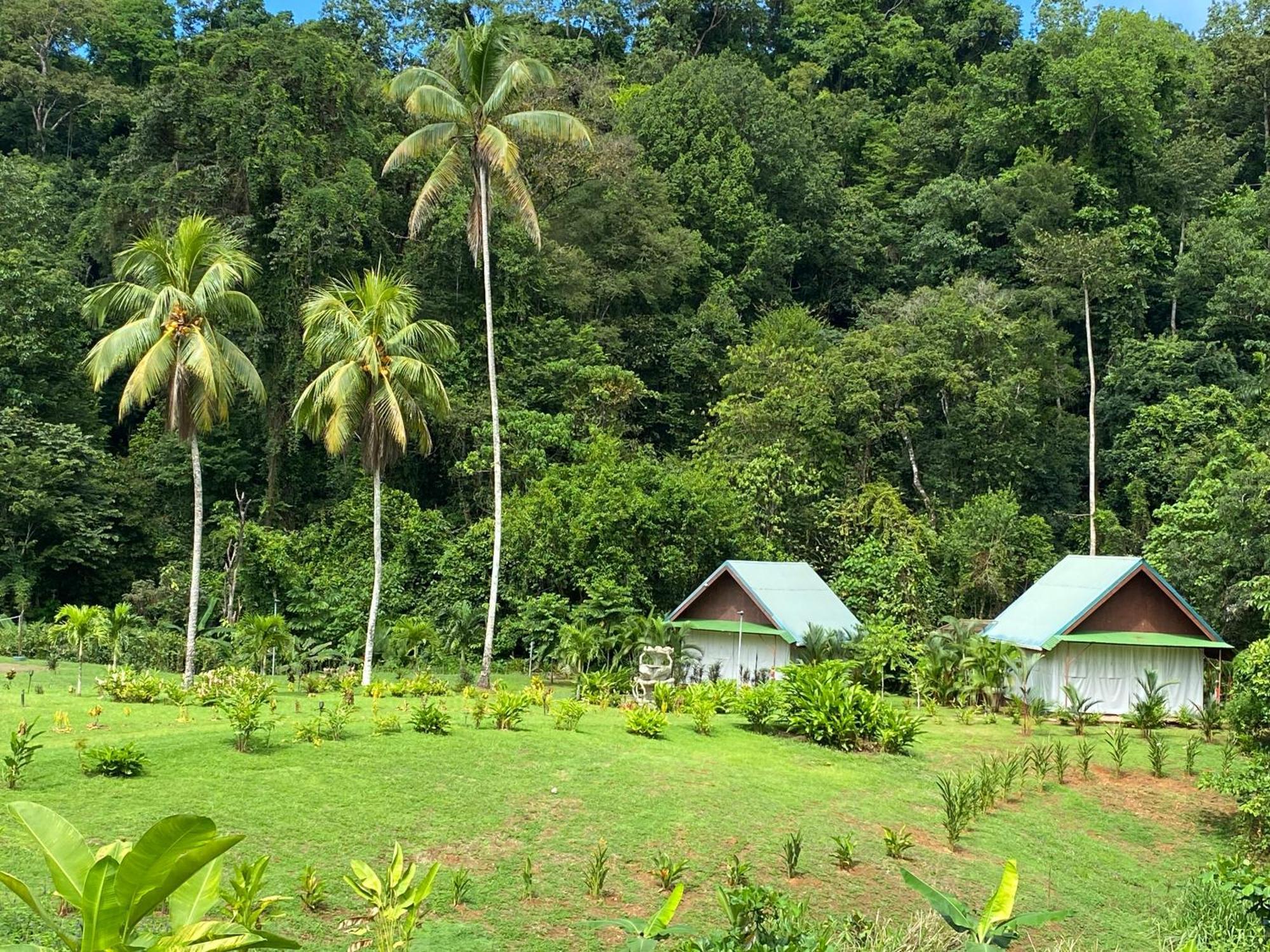 Drake Bay River View المظهر الخارجي الصورة